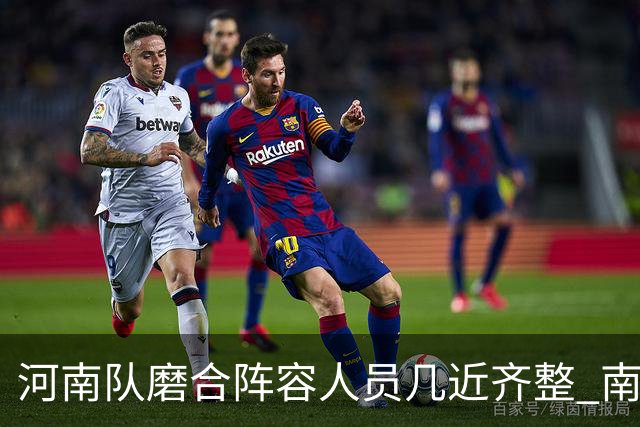河南队磨合阵容人员几近齐整 南基一剑指中超前六
